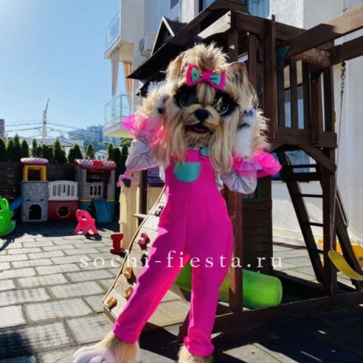 Аниматор Гламурная Собака в Саранске