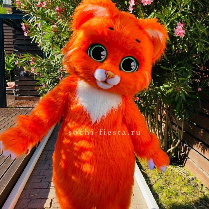 Аниматор Котик в Саранске