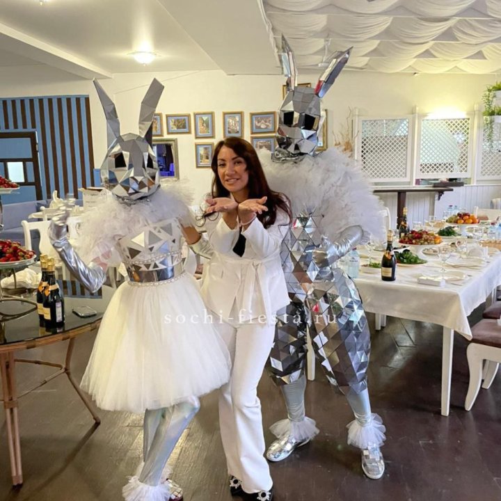 Аниматор Зеркальный заяц в Саранске