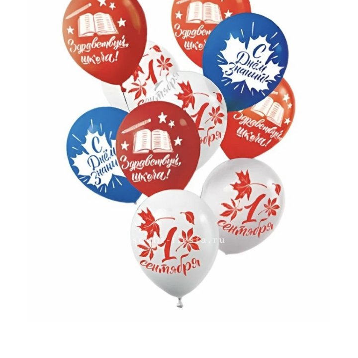 Воздушный шар на день знаний в Саранске