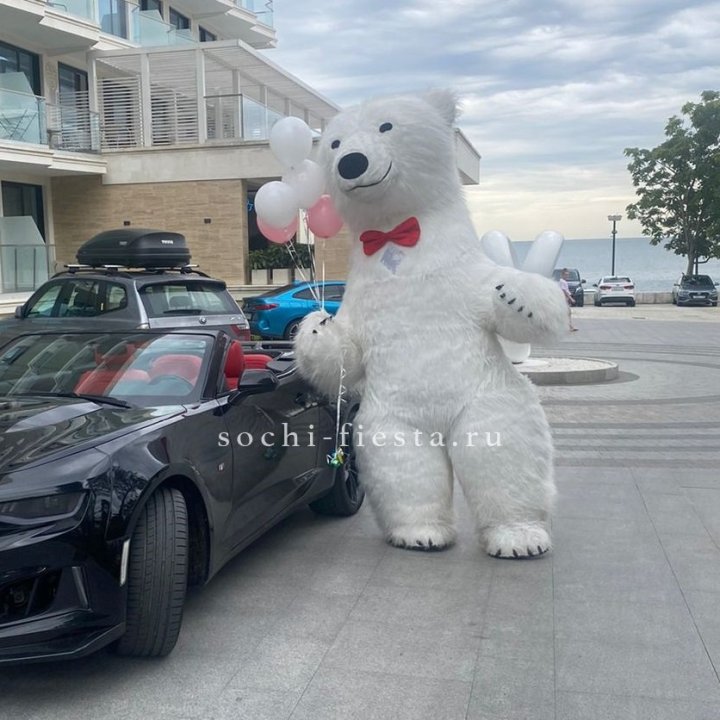 Аниматор Белый Медведь в Саранске