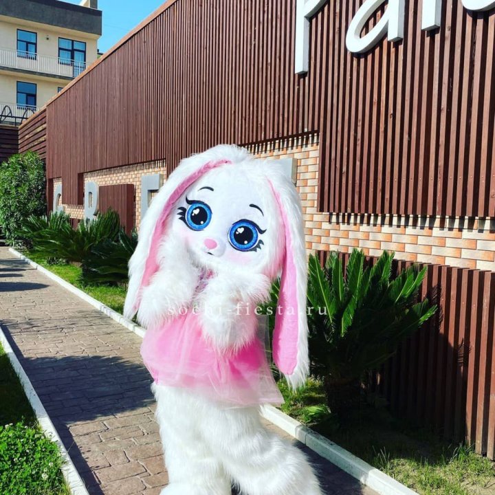 Аниматор Зайка в Саранске