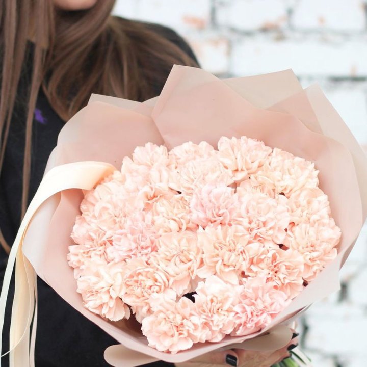 Диантусы №2 в Саранске