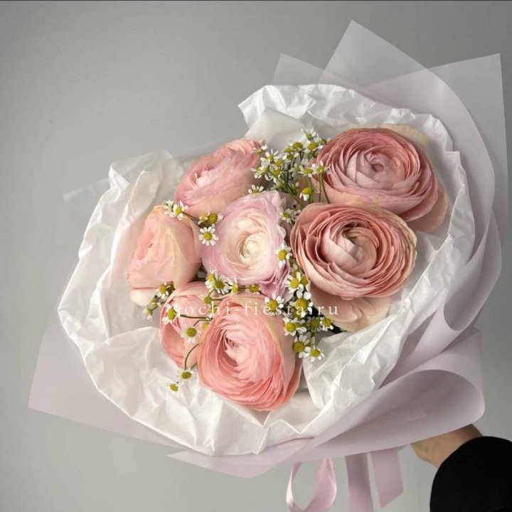 Ранункулюсы с ромашками в Саранске