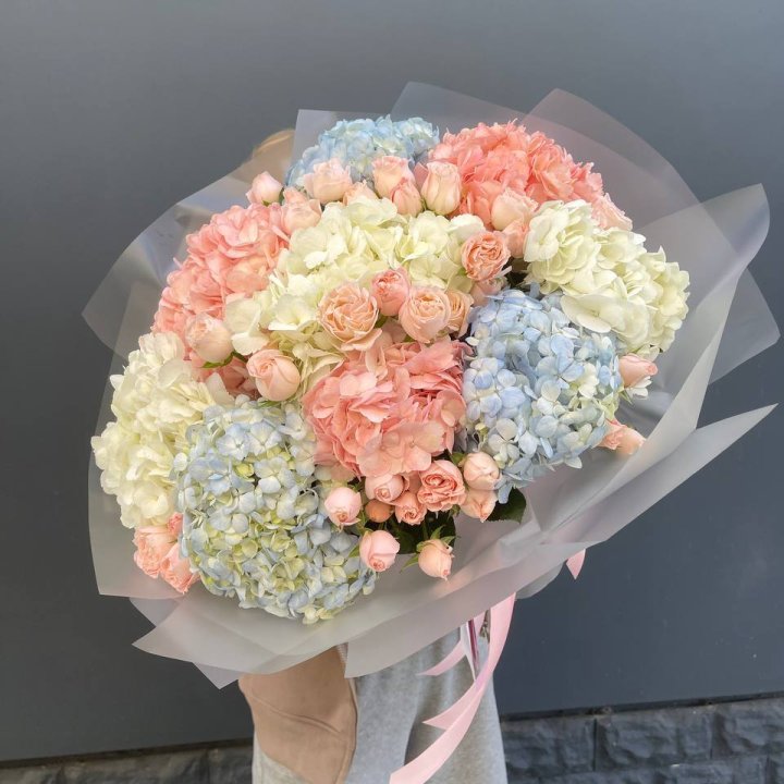 Дуо гортензии и бомбастик в Саранске