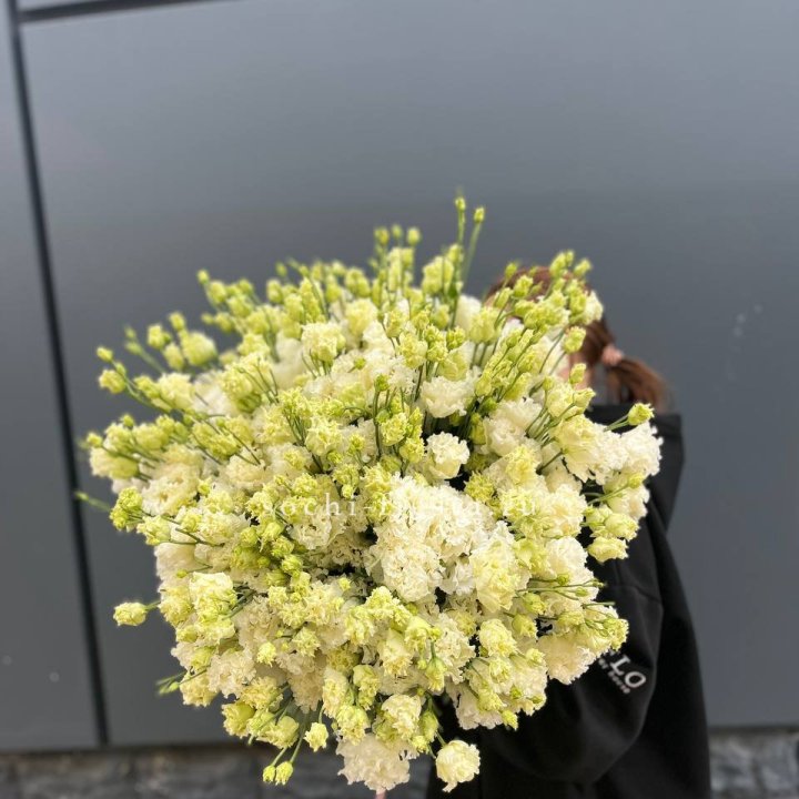 51 белая эустома в Саранске