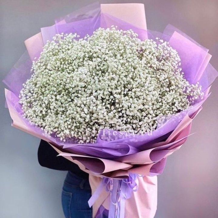 Облако белых гипсофил в Саранске