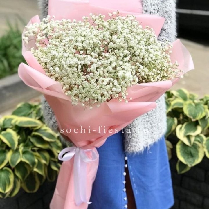 Белоснежные гипсофилы в Саранске