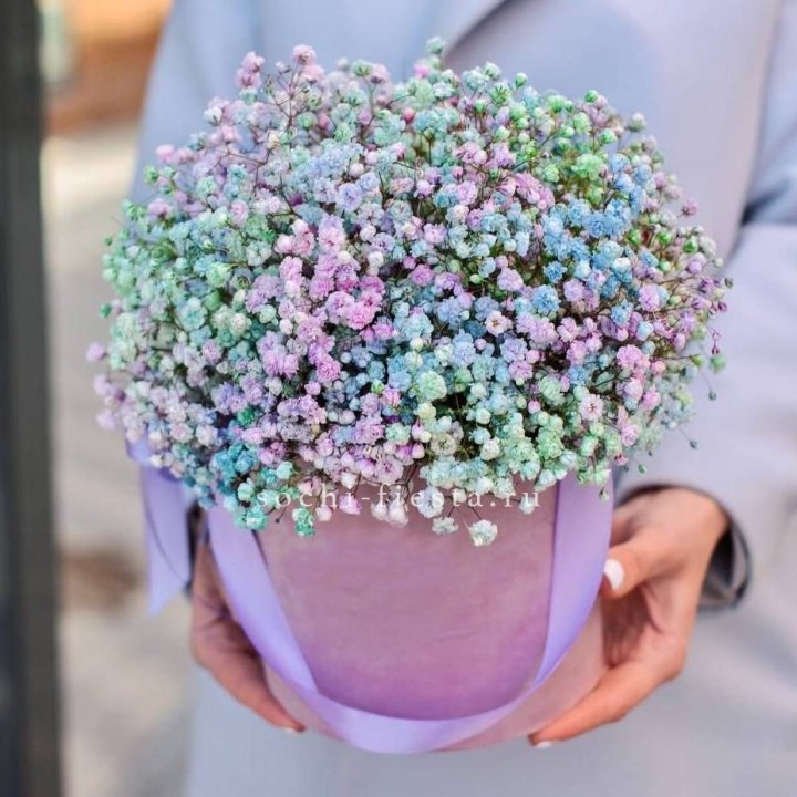 Гипсофилы в шляпной коробке "Кандилайт" в Саранске