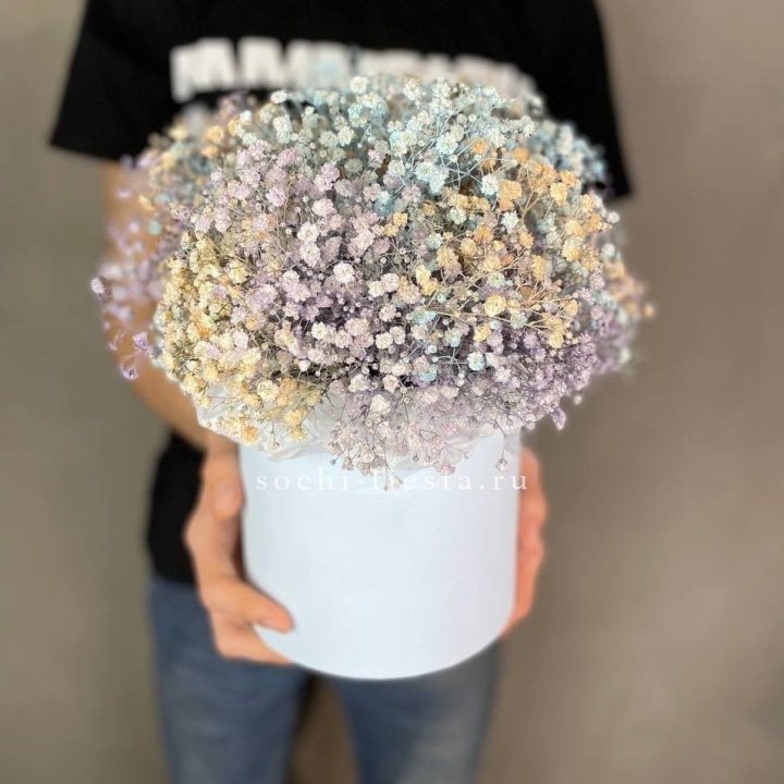 9 Радужных гипсофил в шляпной коробке в Саранске