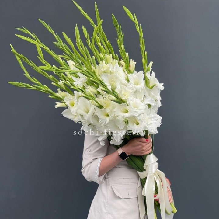 19 белых гладиолусов под ленту в Саранске