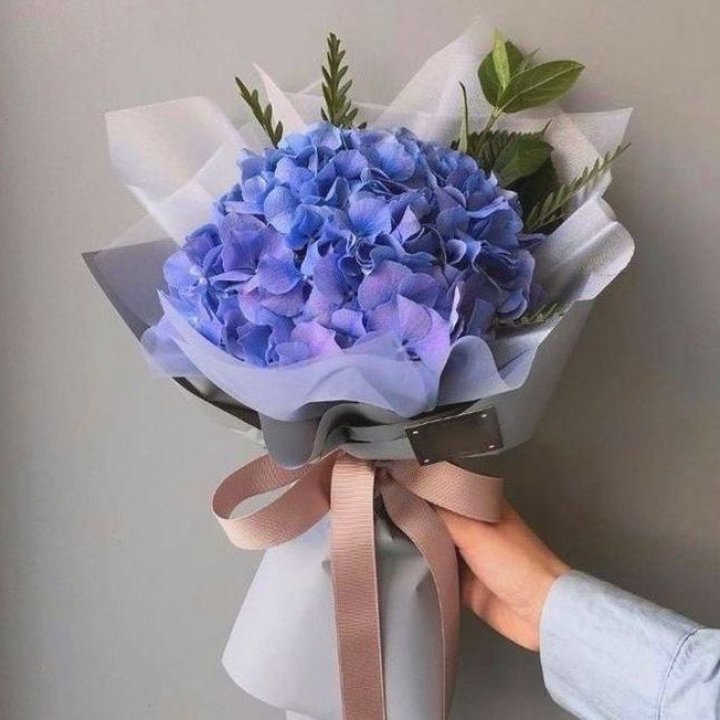 Гортензия голубая в Саранске