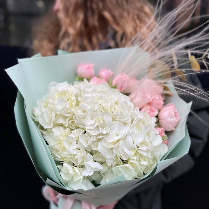 Гортензия "Жасмин" в Саранске