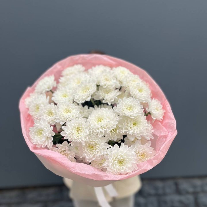  5 хризантем  в Саранске