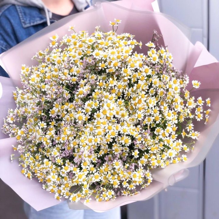 Букет ромашек №1 в Саранске