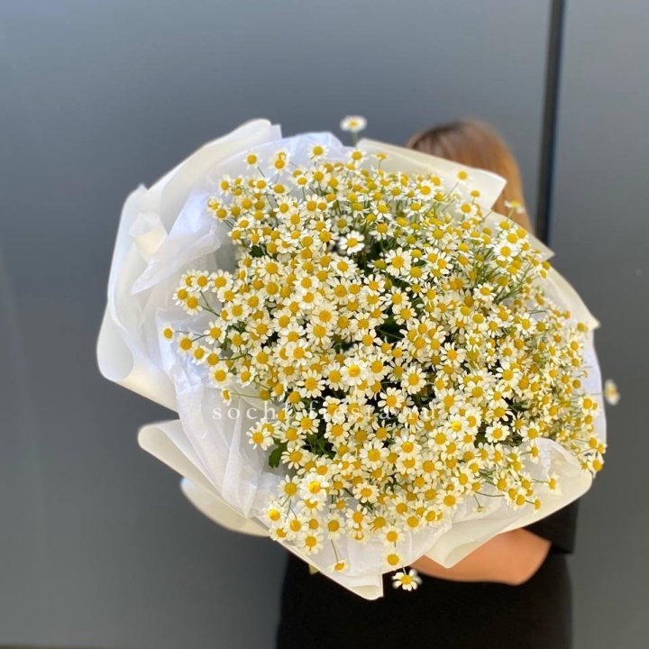 Букет ромашек "Фемели" в Саранске