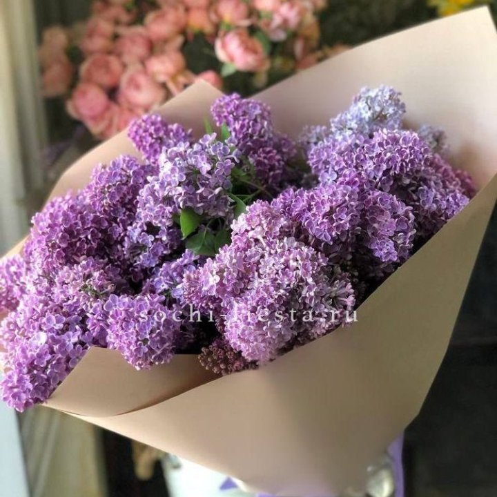 Букет сирени №2 в Саранске