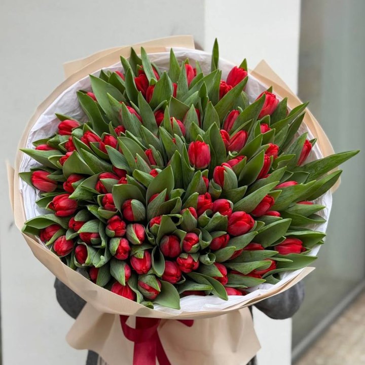 101 красный тюльпан в Саранске