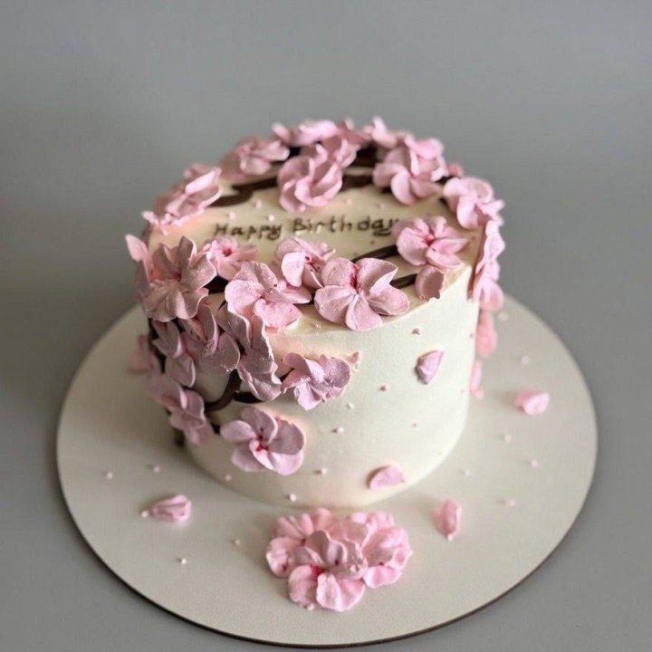 Бенто-торт "С днём рождения..." в Саранске