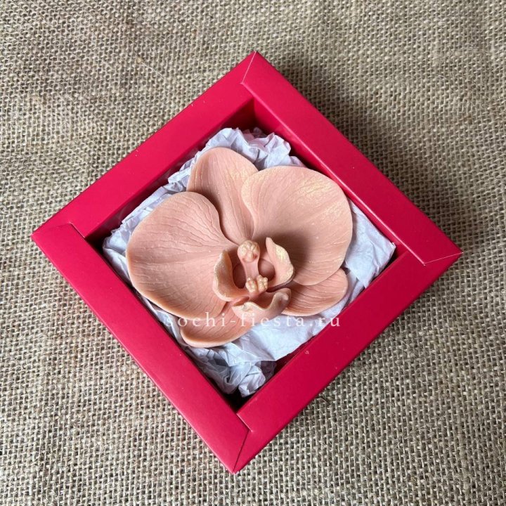 Бельгийский шоколад Орхидея в Саранске