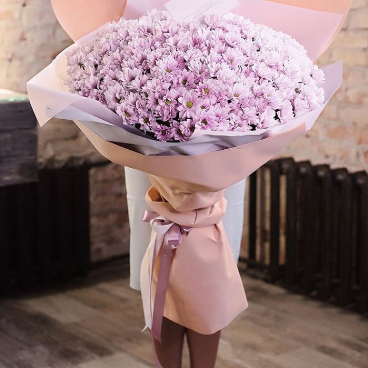 Облако хризантем №1 в Саранске