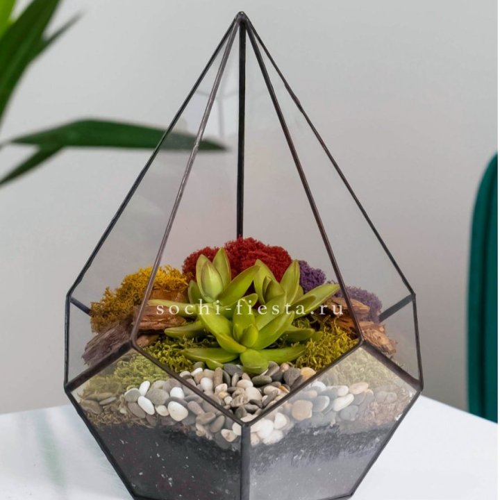Флорариум Капля с суккулентом в Саранске