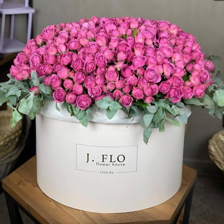 Цилиндр с Мисти Бабблс  в Саранске