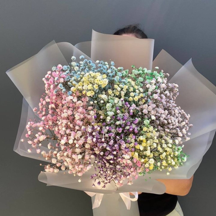 Радужные гипсофилы  в Саранске