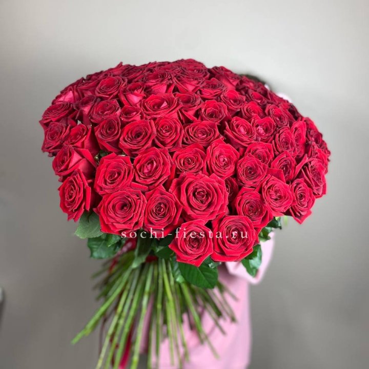 101  голландская роза  в Саранске