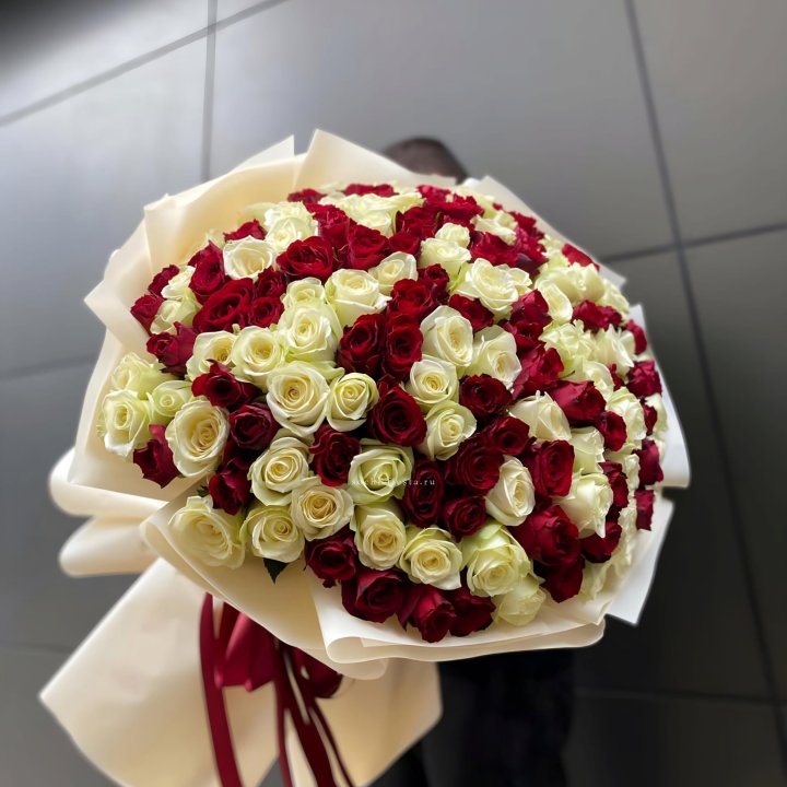 101 высокая импортная роза  в Саранске