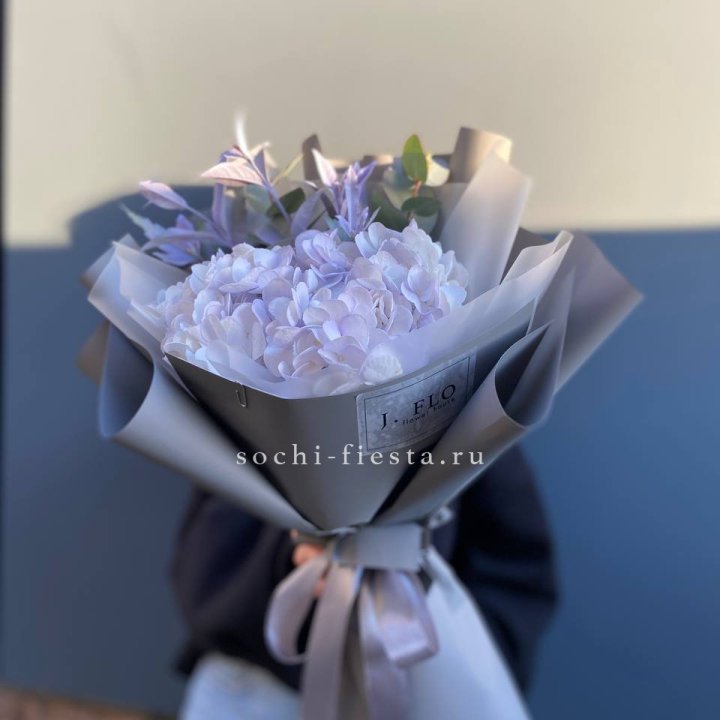 Гортензия "Виолета" в Саранске