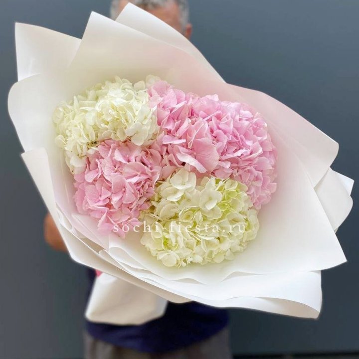 Букет гортензий №5 в Саранске