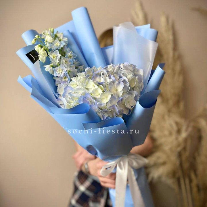 Гортензия "Блю скай" в Саранске