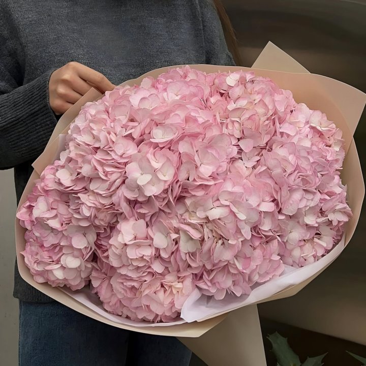 Гортензия  "РОЗЕ" в Саранске