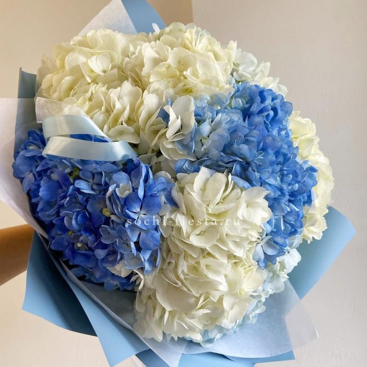 Букет гортензий "Голубая лаза" в Саранске