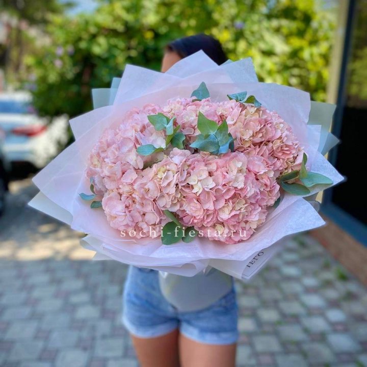 5 розовых гортензий  в Саранске
