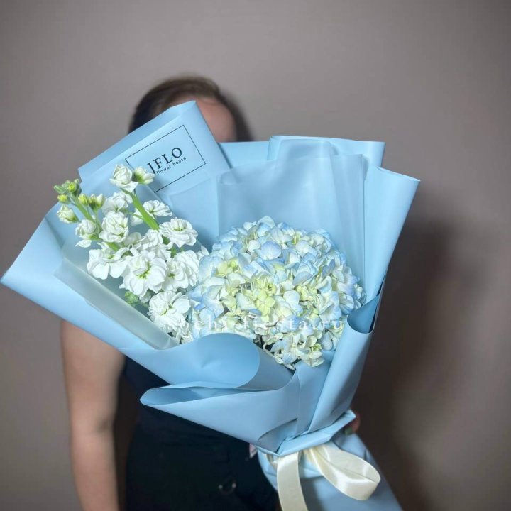 Гортензия голубая с маттиолой в Саранске