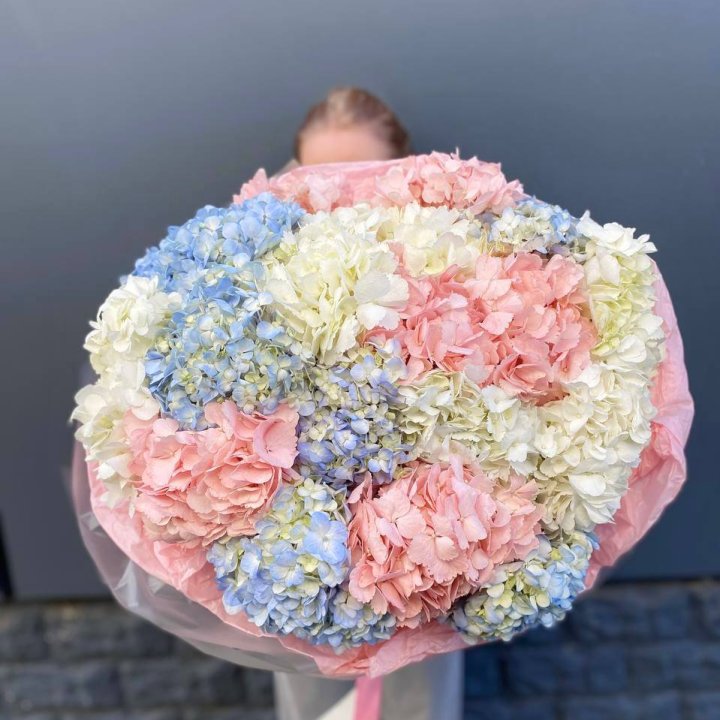 19 гортензий микс в Саранске