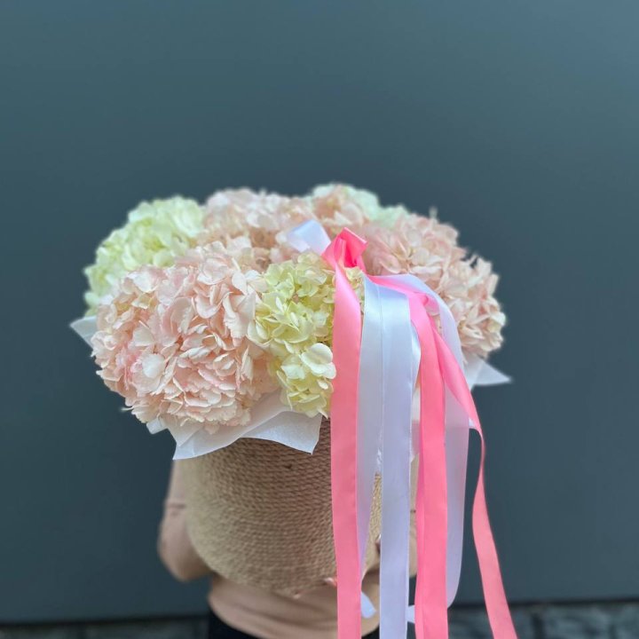 7 гортензий в кашпо в Саранске