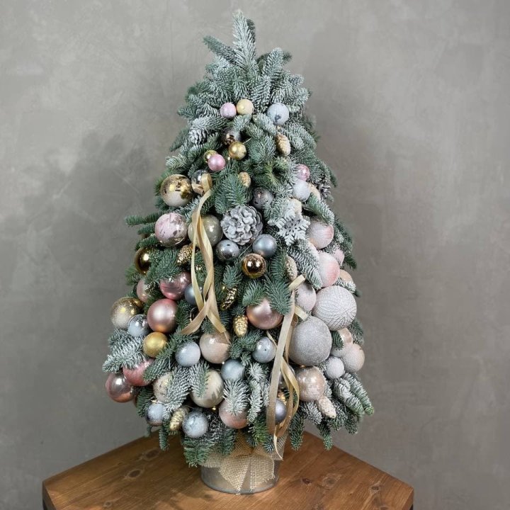 Новогодняя ёлка из веток датского нобилиса в Саранске