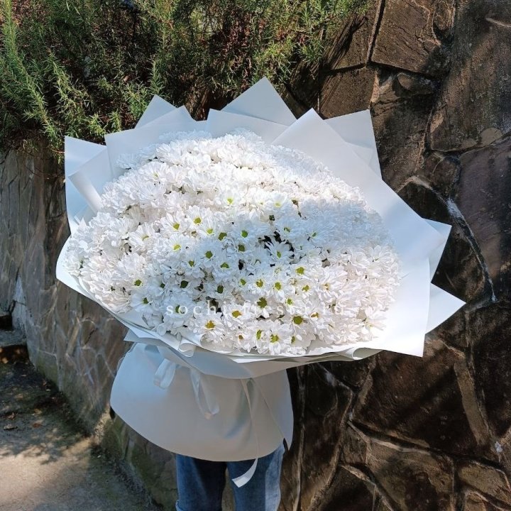 Облако хризантем №2 в Саранске