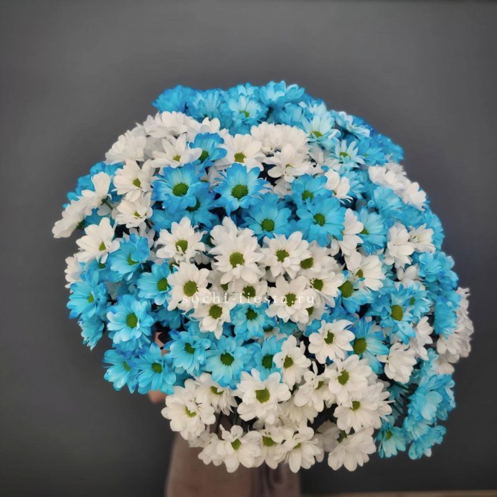  Букет хризантем микс в Саранске