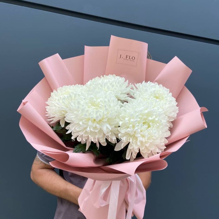 Профитроли №2 в Саранске