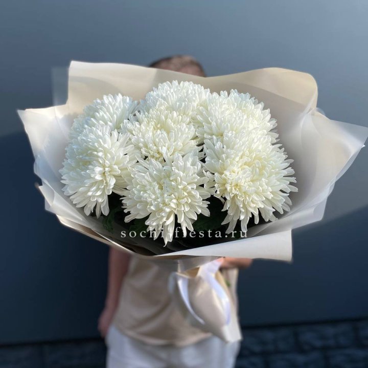 Профитроли в Саранске