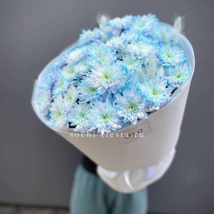  Букет нежно-голубых хризантем  в Саранске