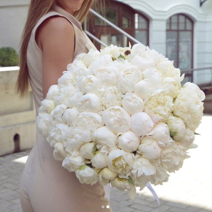 51 белый пион в Саранске