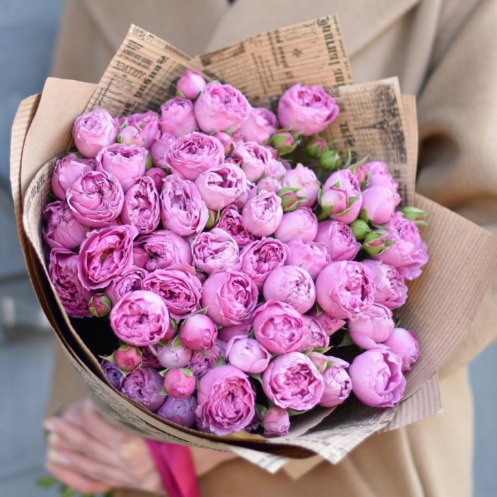 Роза Мисти Баблс в Саранске