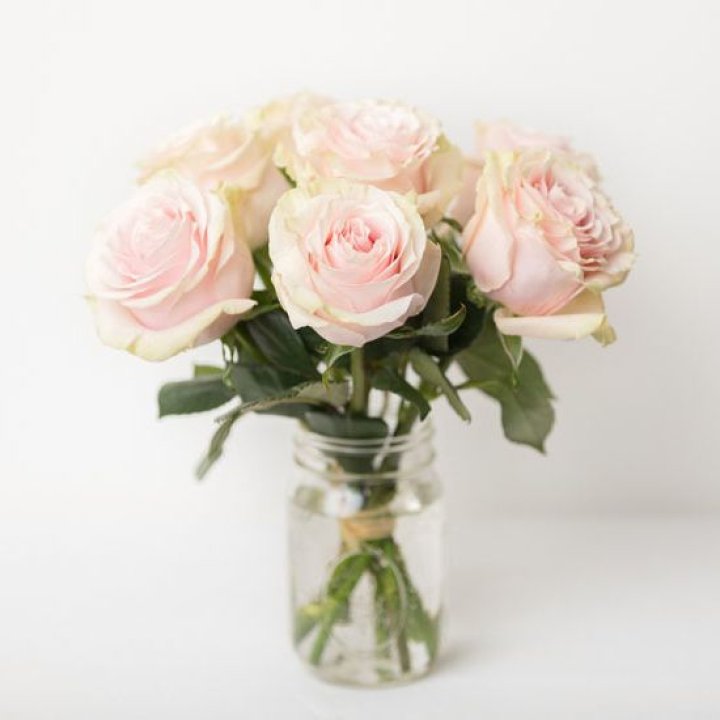 7 кремовых роз в Саранске