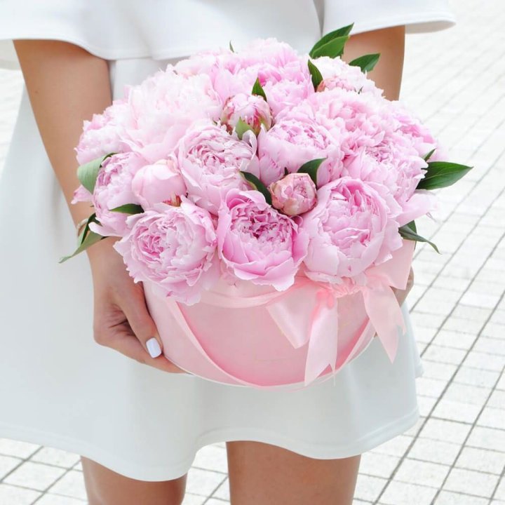 Пионы в шляпной коробке в Саранске