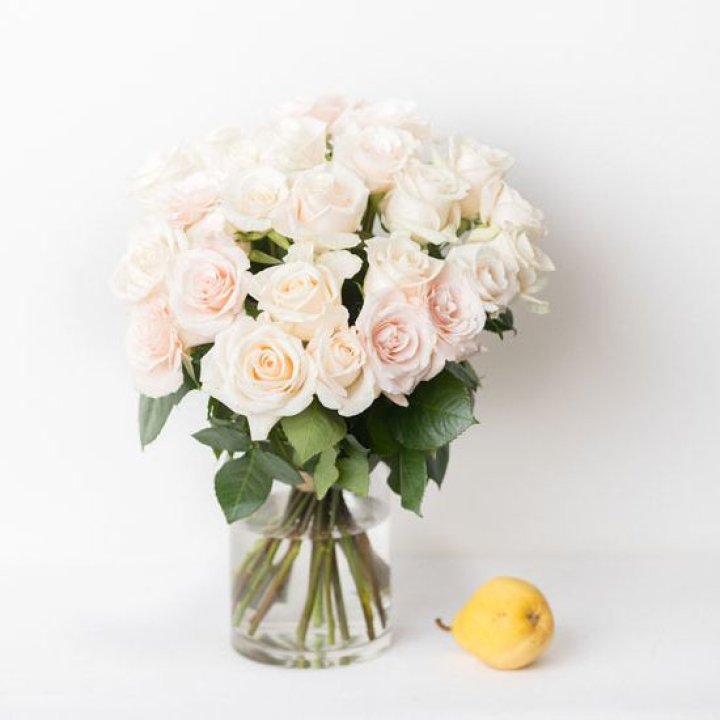 25 кремовых роз в Саранске